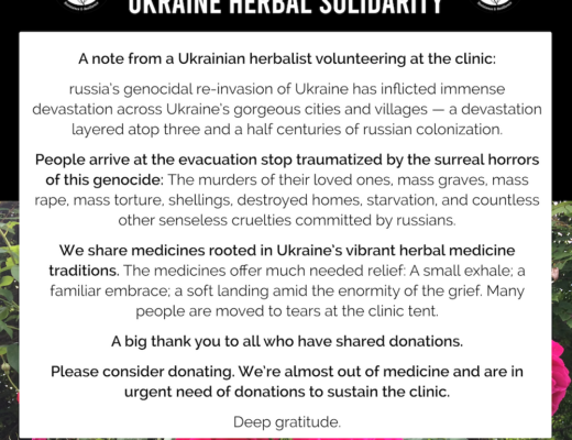 [Image shows two logos from Ukraine Herbal Solidarity with a yarrow symbol. The title text says ‘Latest update from Ukraine Herbal Solidarity’. There is a white square with text (see caption) and www.crowdfunder.co.uk/p/ukraine-herbal-solidarity. There are pink roses behind the text.]