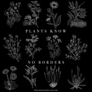 Plants Know No Borders T-shirt (sliding-scale fundraiser £20 - £40)