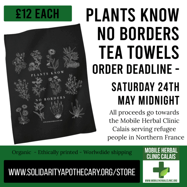 Plants Know No Borders Tea Towels - Image 3