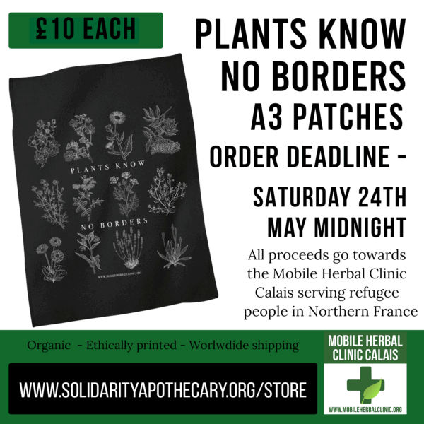 Plants Know No Borders A3 Patches