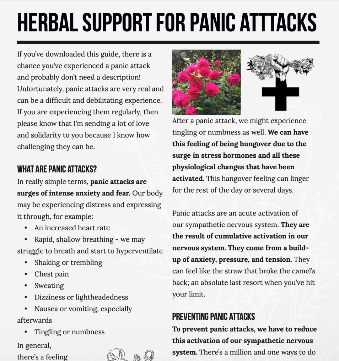 Free Guide Herbal support for Panic Attacks Solidarity Apothecary
