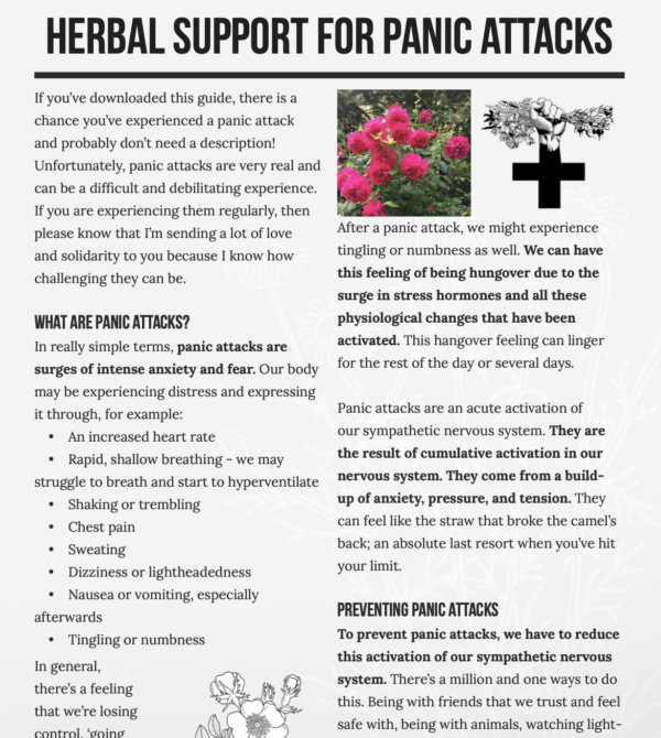 Free Guide: Herbal support for Panic Attacks