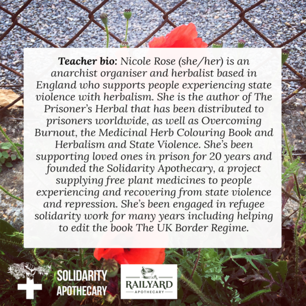 Free Workshop: Herbalism and Border Violence - Image 2