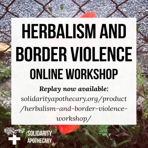 Free Workshop: Herbalism and Border Violence