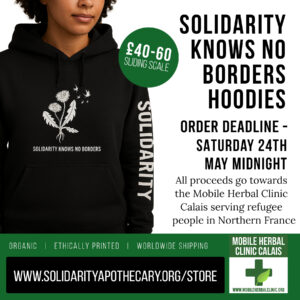 Dandelion Solidarity Hoodies (sliding-scale fundraiser)