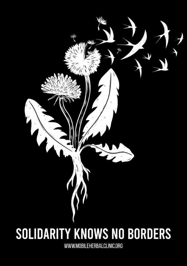 Dandelion Solidarity Zip Hoodies (sliding-scale fundraiser) - Image 4