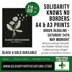 Dandelion Solidarity Prints