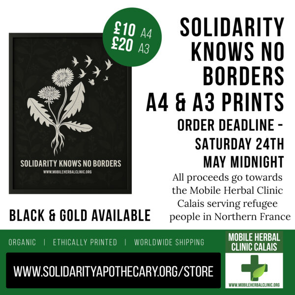 Dandelion Solidarity Prints