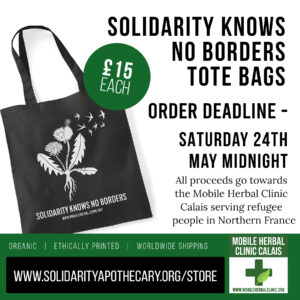 Dandelion Solidarity Tote Bags
