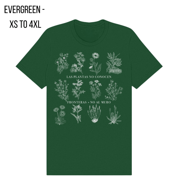 US/Mexico - Plants Know No Borders T-shirt - Spanish version ($20 - $40 USD) - Image 4