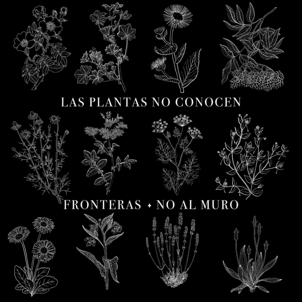 US/Mexico - Plants Know No Borders T-shirt - Spanish version ($20 - $40 USD) - Image 5