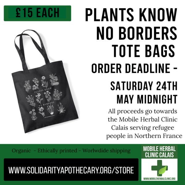 Plants Know No Borders Prints Tote Bags - Image 2