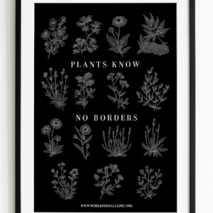Plants Know No Borders Prints