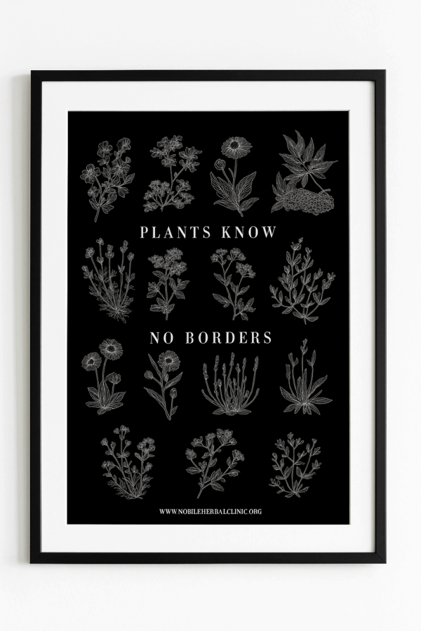 Plants Know No Borders Prints