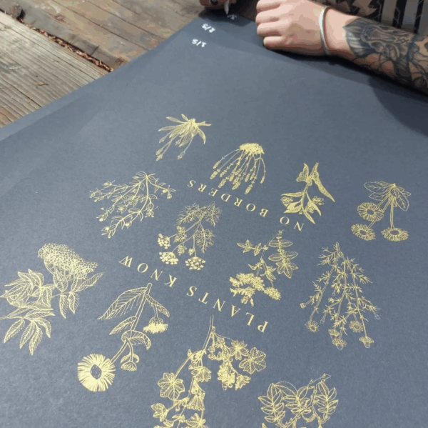 Plants Know No Borders Prints - Image 5