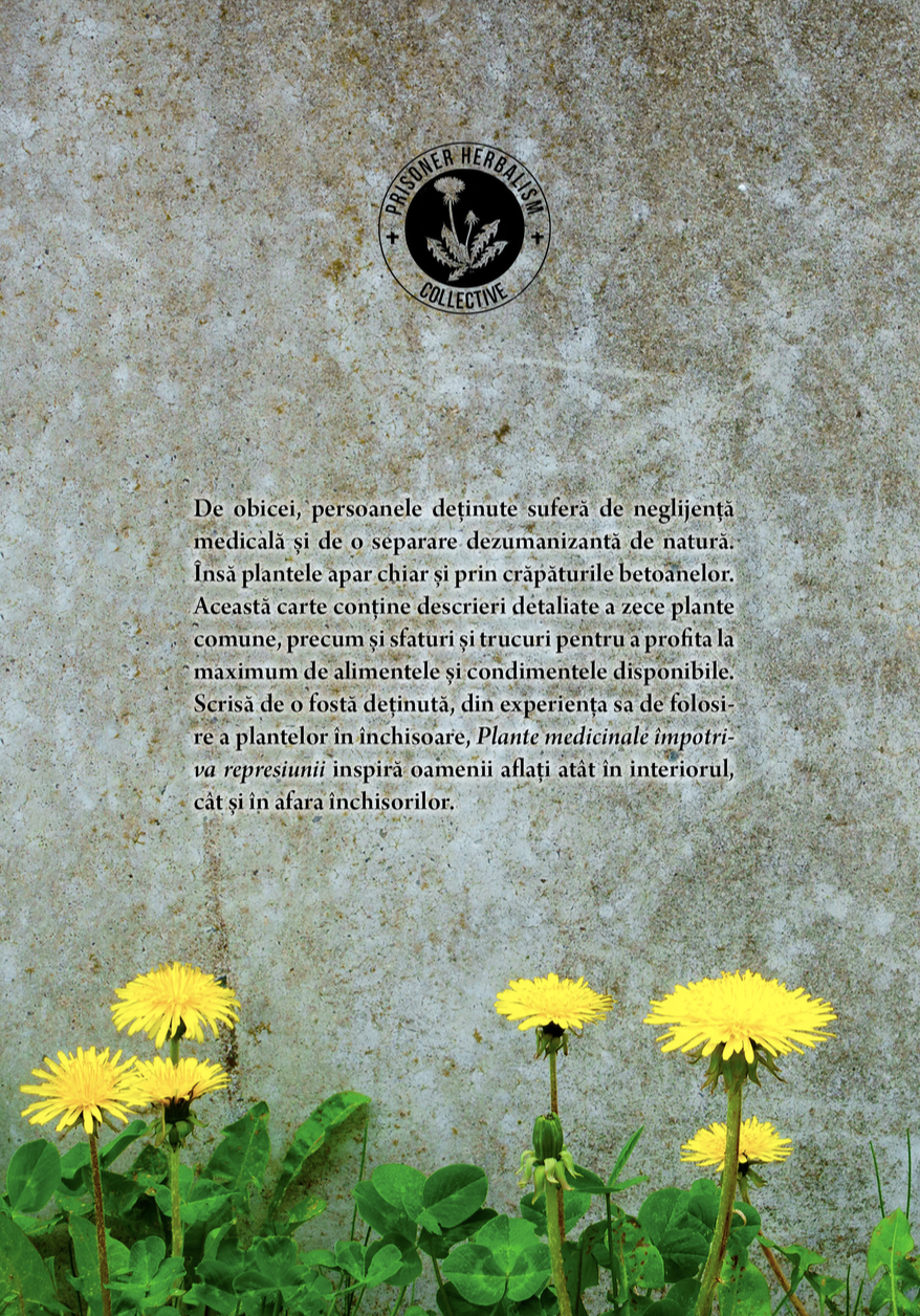 Plante medicinale împotriva represiunii - Image 4