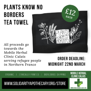 New! Plants Know No Borders Tea Towels
